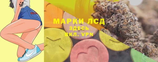 спиды Богородицк