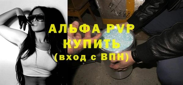спиды Богородицк