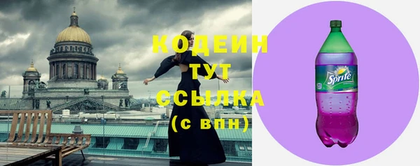 спиды Богородицк