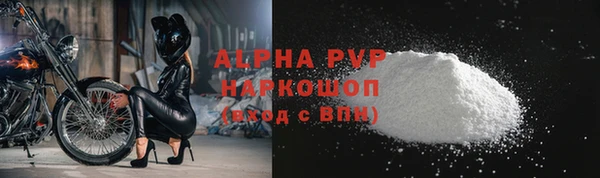твердый Богданович