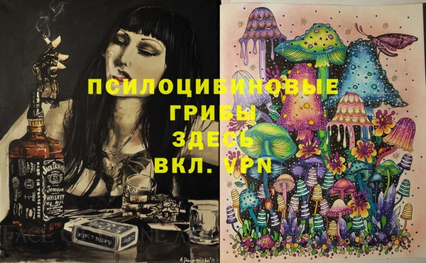 твердый Богданович