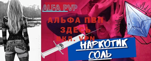 стаф Ростов